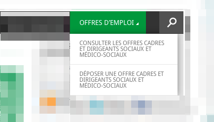 Découvrez la plateforme emploi du médico-social