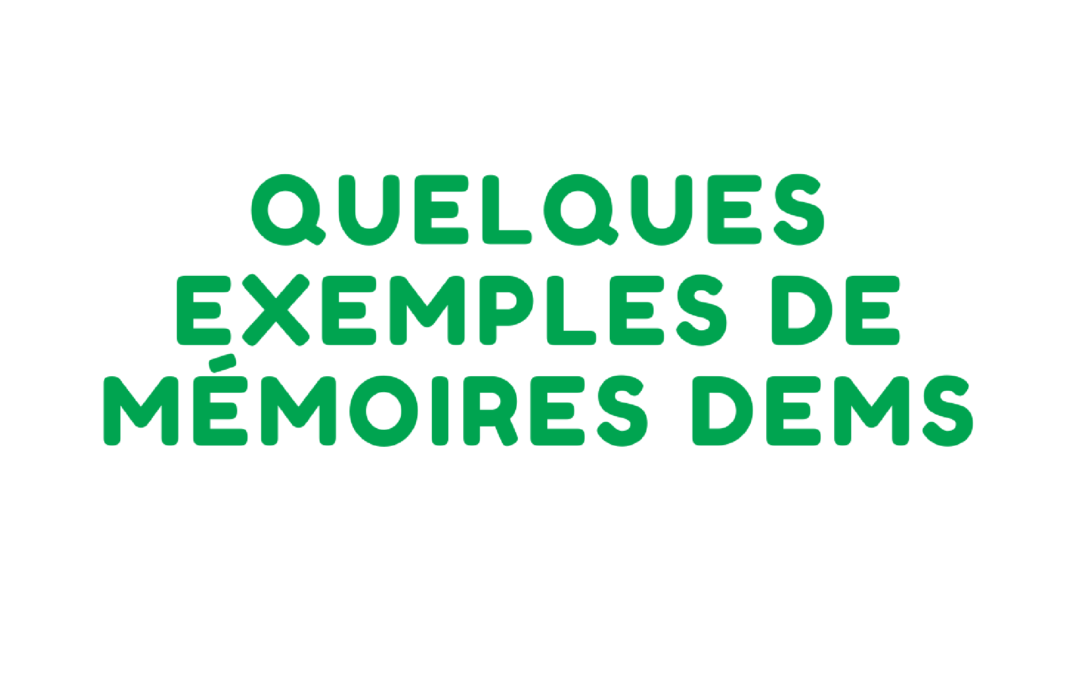 DEMS : quelques exemples de mémoires