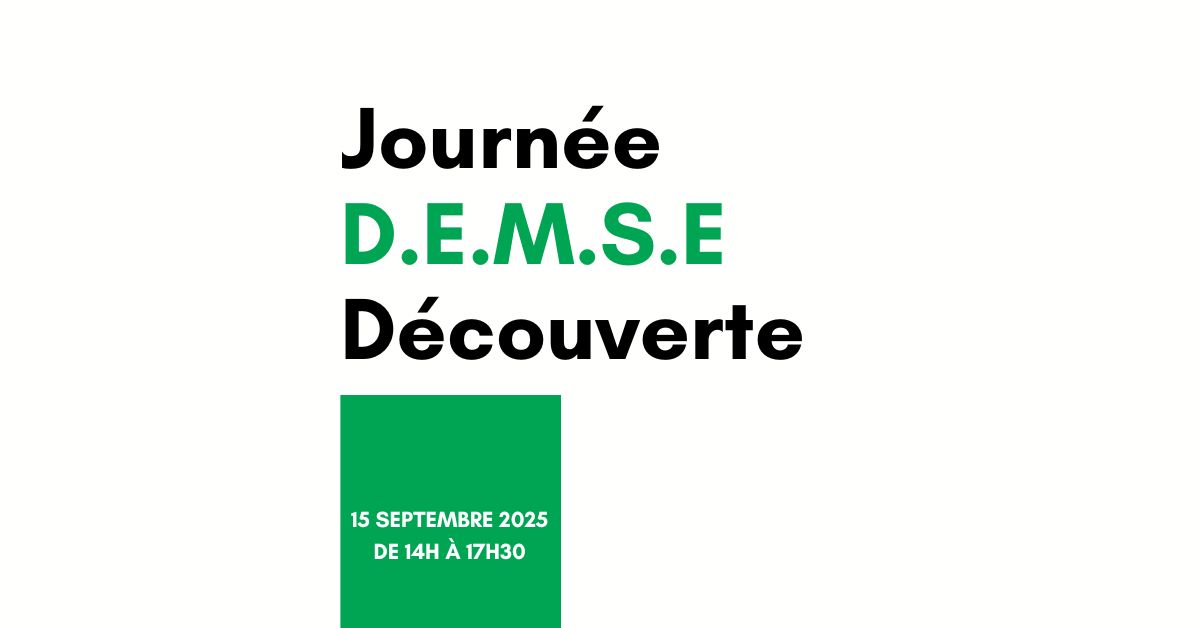 Journée DEMSE 150925